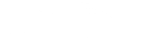 Logo AluPro – Producent Masztów i Wież Aluminiowych